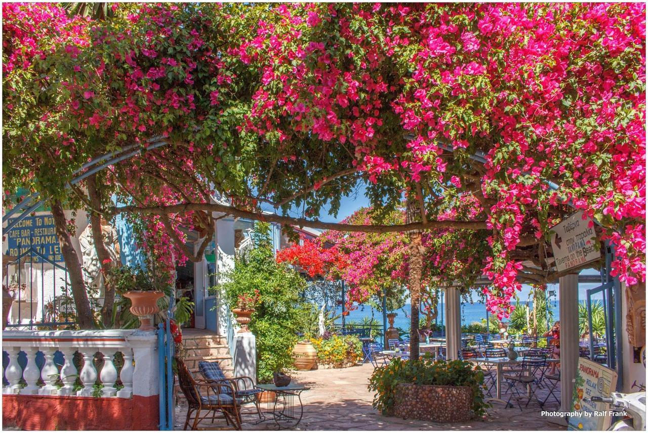 Panorama Notos Daire Dış mekan fotoğraf